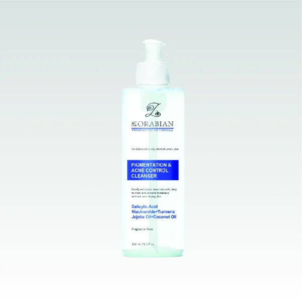 Pigmentation Acne Control Cleanser
